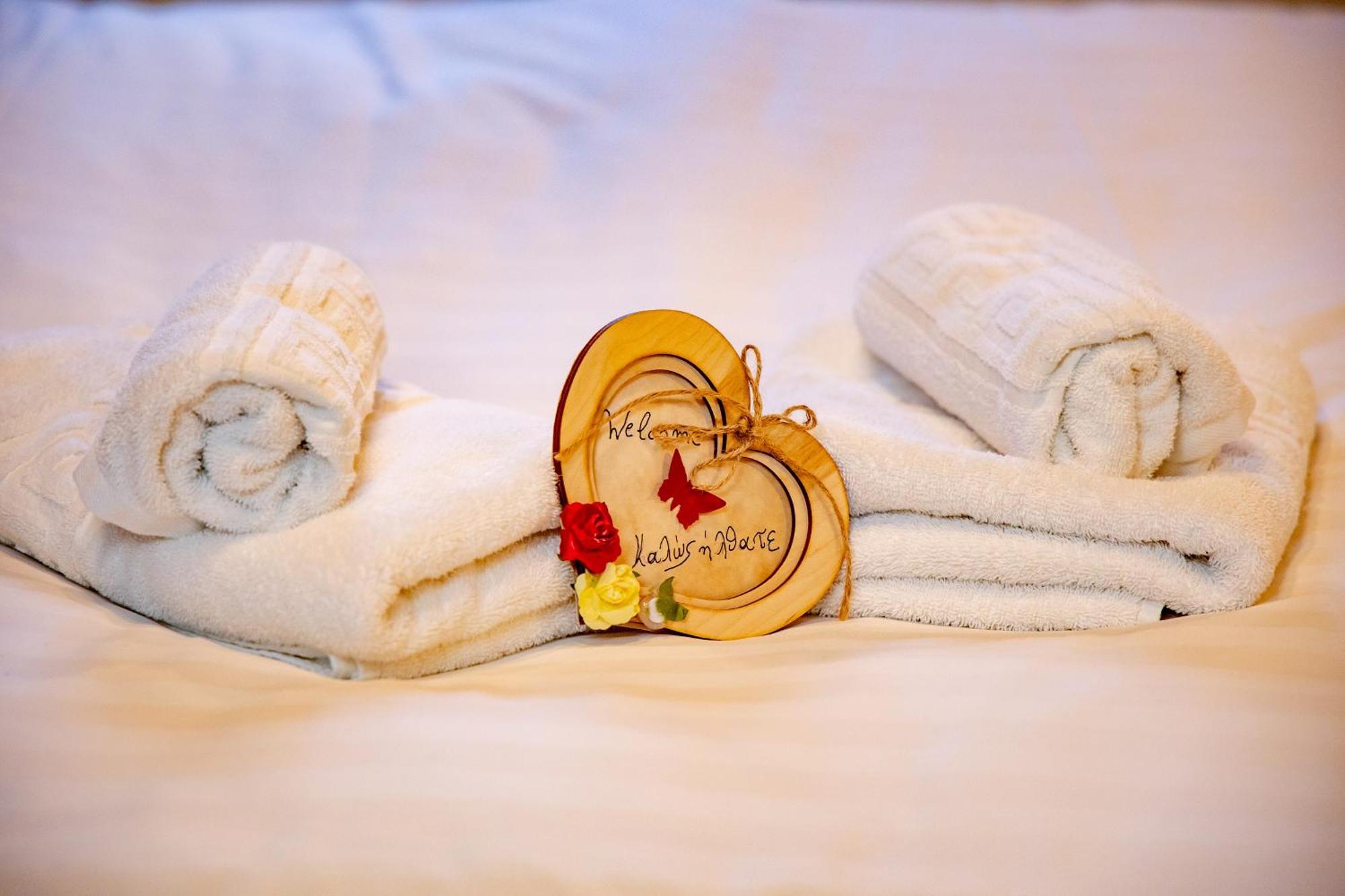 Arktouros Hotel 모노덴드리 외부 사진