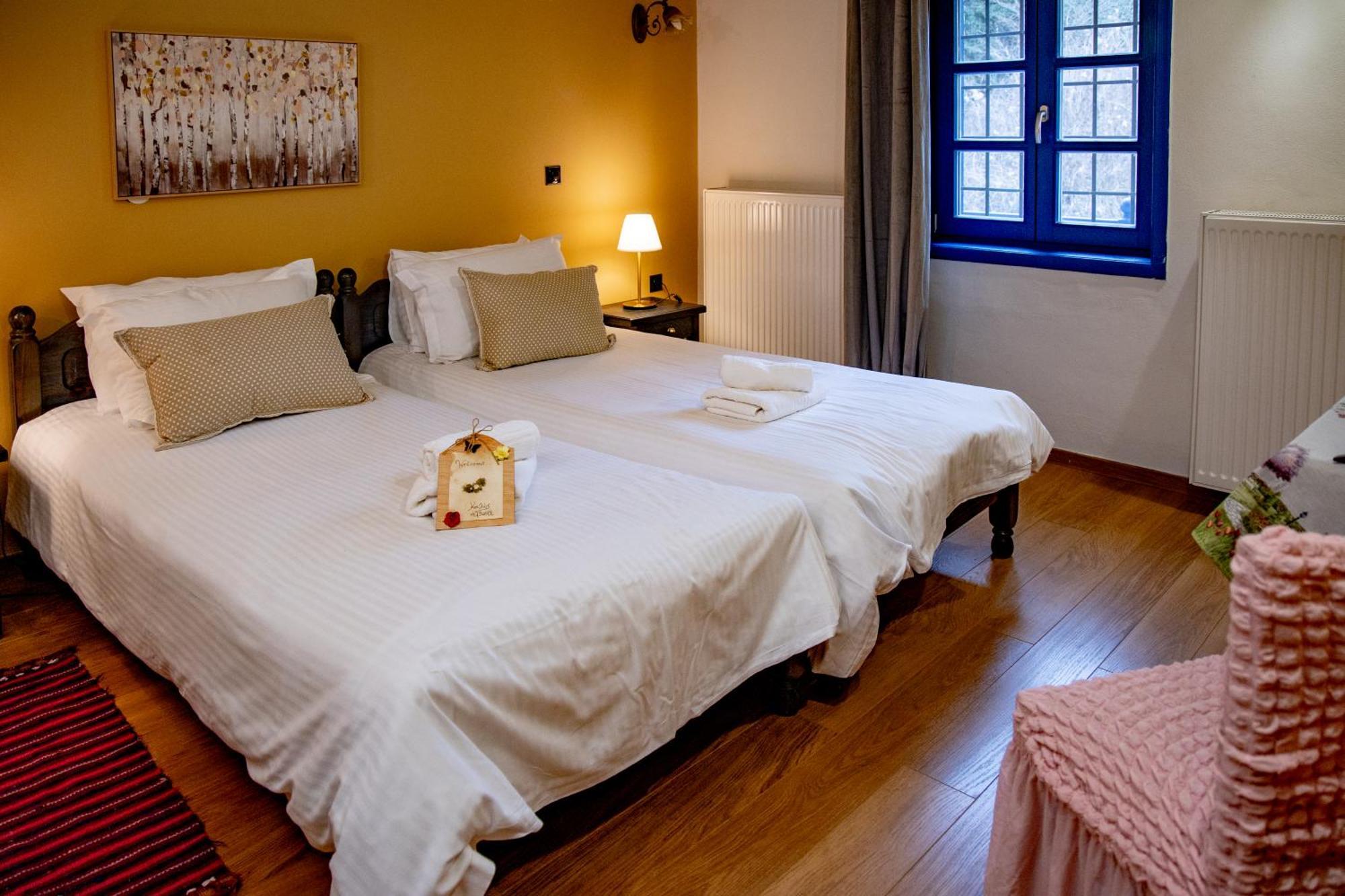 Arktouros Hotel 모노덴드리 외부 사진